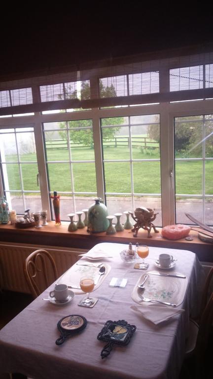 Aurora House Bed And Breakfast Athy Eksteriør billede